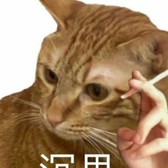 i didnt wanna go - wakin chau (其實不想走).mp3