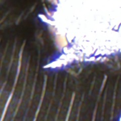 love, it just wasn't at all (prod.shinju x remghost)