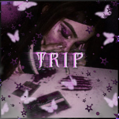 trip
