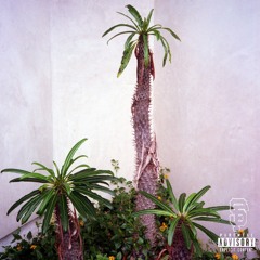 Sensei Featuring YungNappyBoi