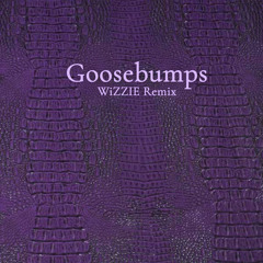 Travis Scott - Goosebumps (WiZZIE Remix)