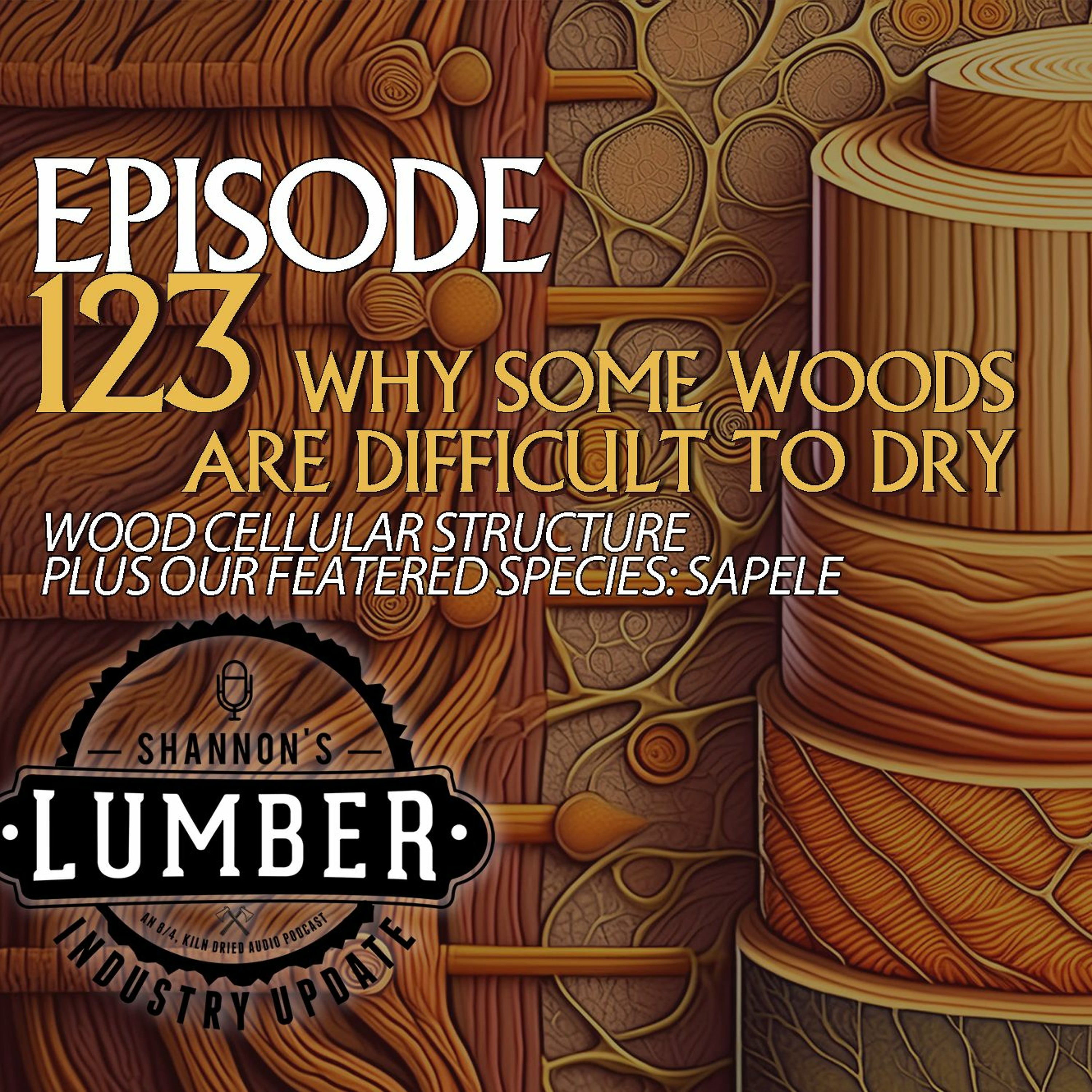 123 - Wood Cell Structure & Sapele