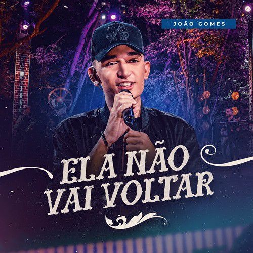 ELA NÃO VAI VOLTAR - Joao Gomes