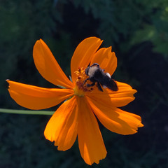 Unrelenting Love. For all life