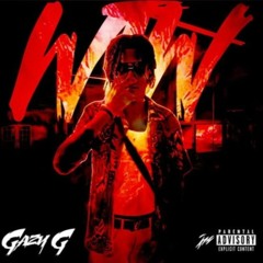WTW gazy g