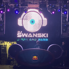 SWANSKÎ’Š PULSE 🪬 SUMMER promotion Mix2025