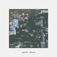 Goose Down - Material Needs