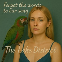 You Forgot The Words to Our Song