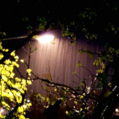 Heavy Rain