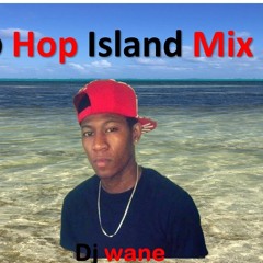 Hip Hop Island Mix 2021 Dj wane