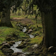 relax and connect with nature