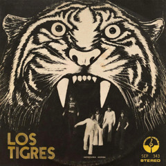 Que Belleza (Imnunizacao Racional) - Los Tigres