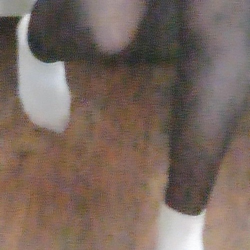 Френдзона - Аскорбинка (speed up remix)