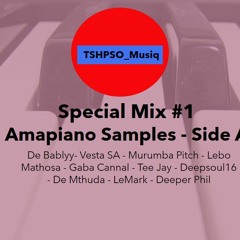 Special Mix 1 - AmaPiano Samples Side A (mixed By TSHPSO Musiq)