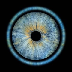 iris - (sped up)