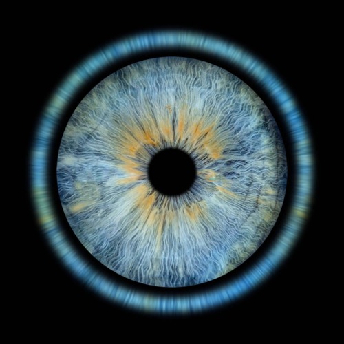 iris - (sped up)