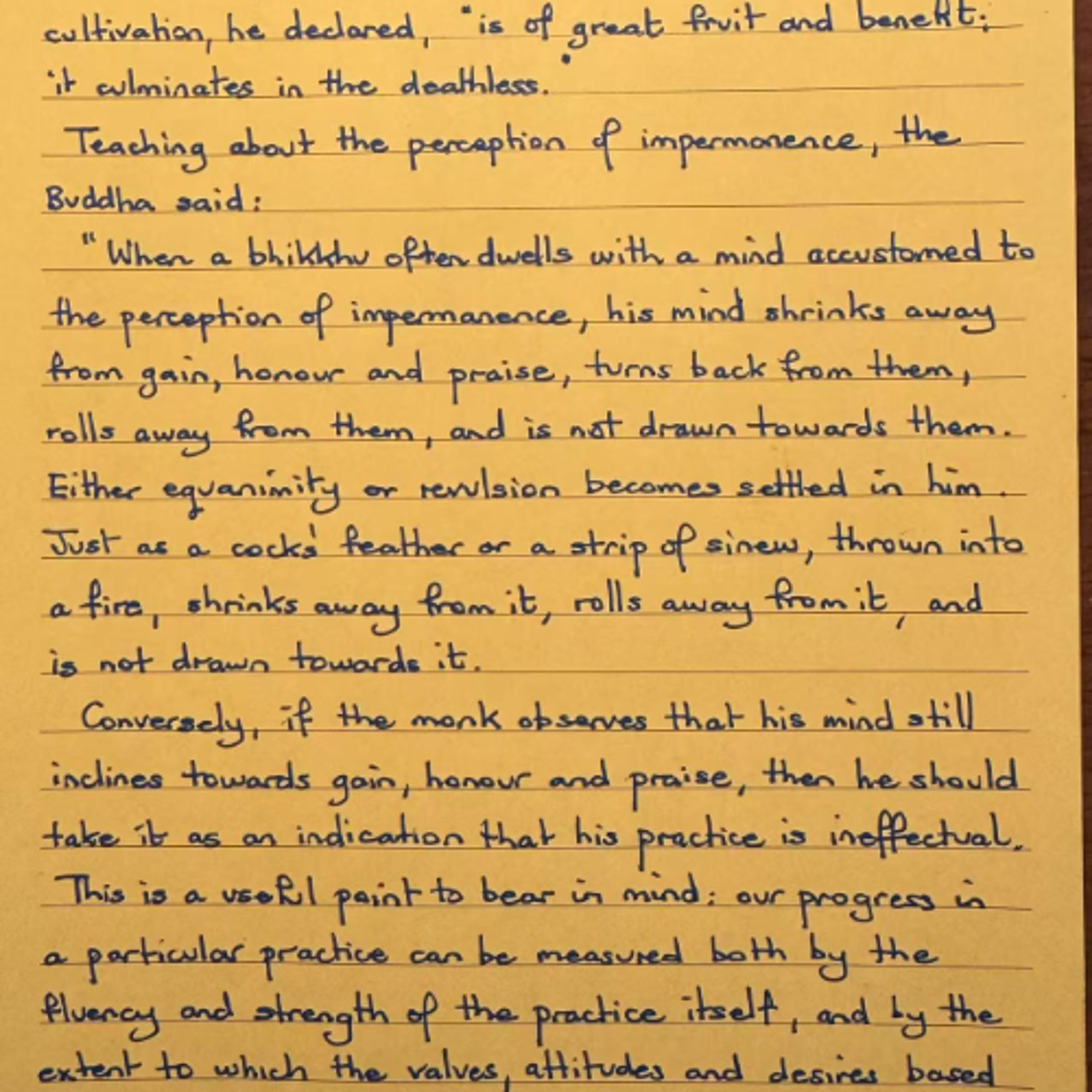 Foglietto Giallo del 12 agosto 2025 su sagge percezioni