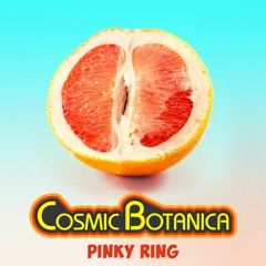 PINKY RING MIX (Radio Edit)