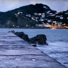 Samin Son - Home Calling Ritual(excerpt)distorted_audio_version