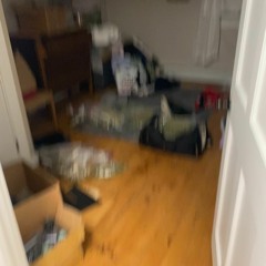 20210208_townie shit_archive