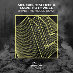 Mr. Sid, Tim Hox & Dave Ruthwell - Bring The House Down (Bew Neetle Remix)