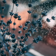 Rain Sounds for Sleep