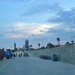 New life in Barcelona #002