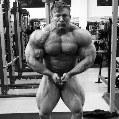 Jordan Peters x Zombie | The Cranberries (cover