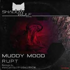 Rupt - Muddy Mood (mexCalito Remix)