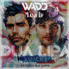 Dua Lipa & Alok Vs. Brooks & KSHMR - Physical Voices (Wado's Mashup) *Skip to 1:00 to listen*