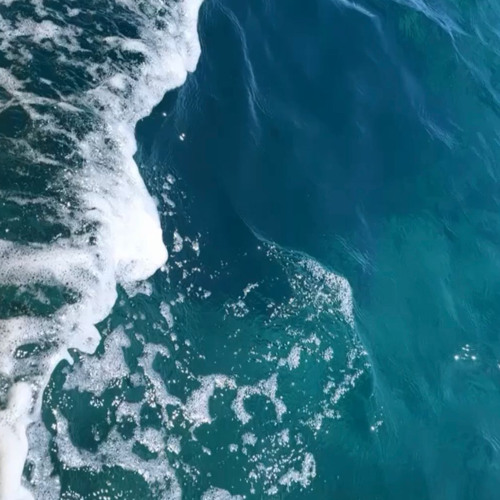 vibes 🌊