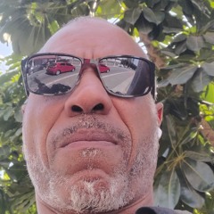 O Sol Floreceu