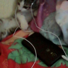 меняютсянамне p. zmny #steppteam