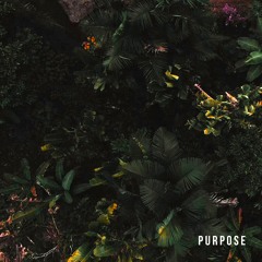 Purpose (feat. Esther Veen)