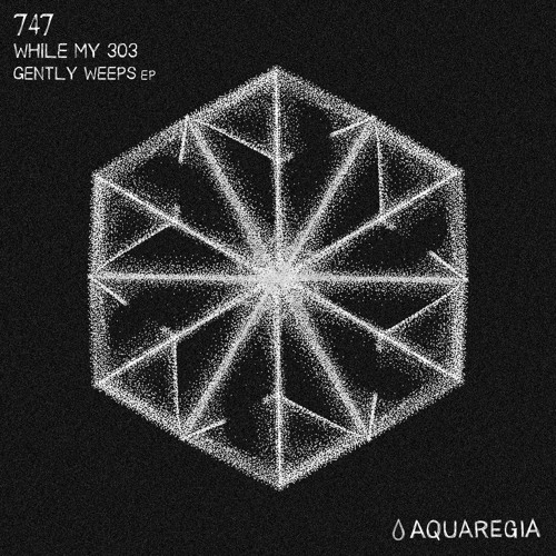 Premiere: 747 - While My 303 Gently Weeps [Aquaregia]