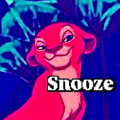 Snooze(cover)