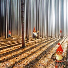 Woodland Creatures 2:6:24