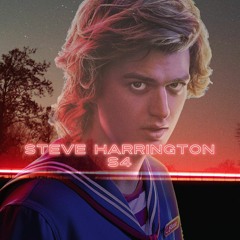 Michael Elliot & Kraver - Steve Harrington S4