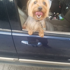 Neva been a sucka 4 luv