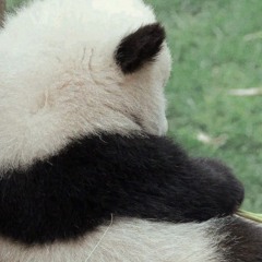 The Day You Went Away