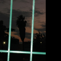 Val Clipp; palm springs, august 2025