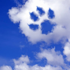 dogsky ft. junksleep & HYKO(prod. irby)