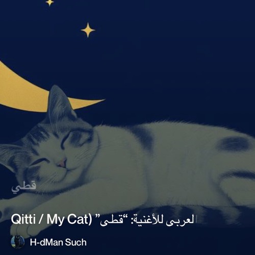 ⬛ النص العربي للأغنية: “قط