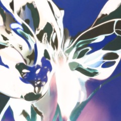 Evul Pete - Adaptive Radiation