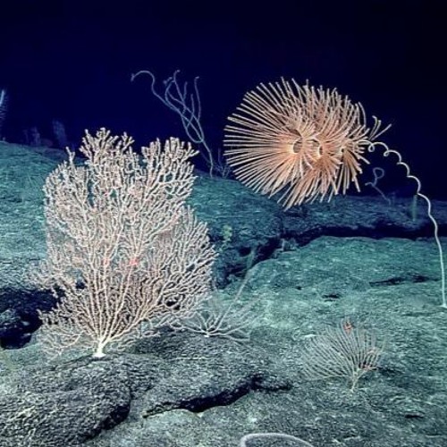 HK_Deep_Sets/Mixes/Live_02