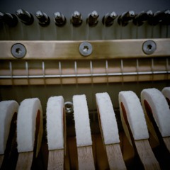 my music