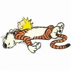 Calvin & Hobbes Goodbye