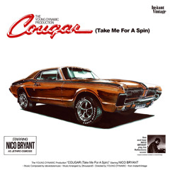 Cougar (Take Me For A Spin)