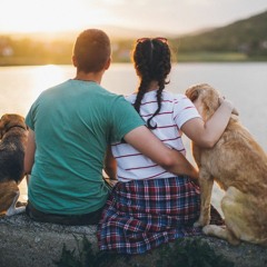 والله شكلى حبيتك تركى