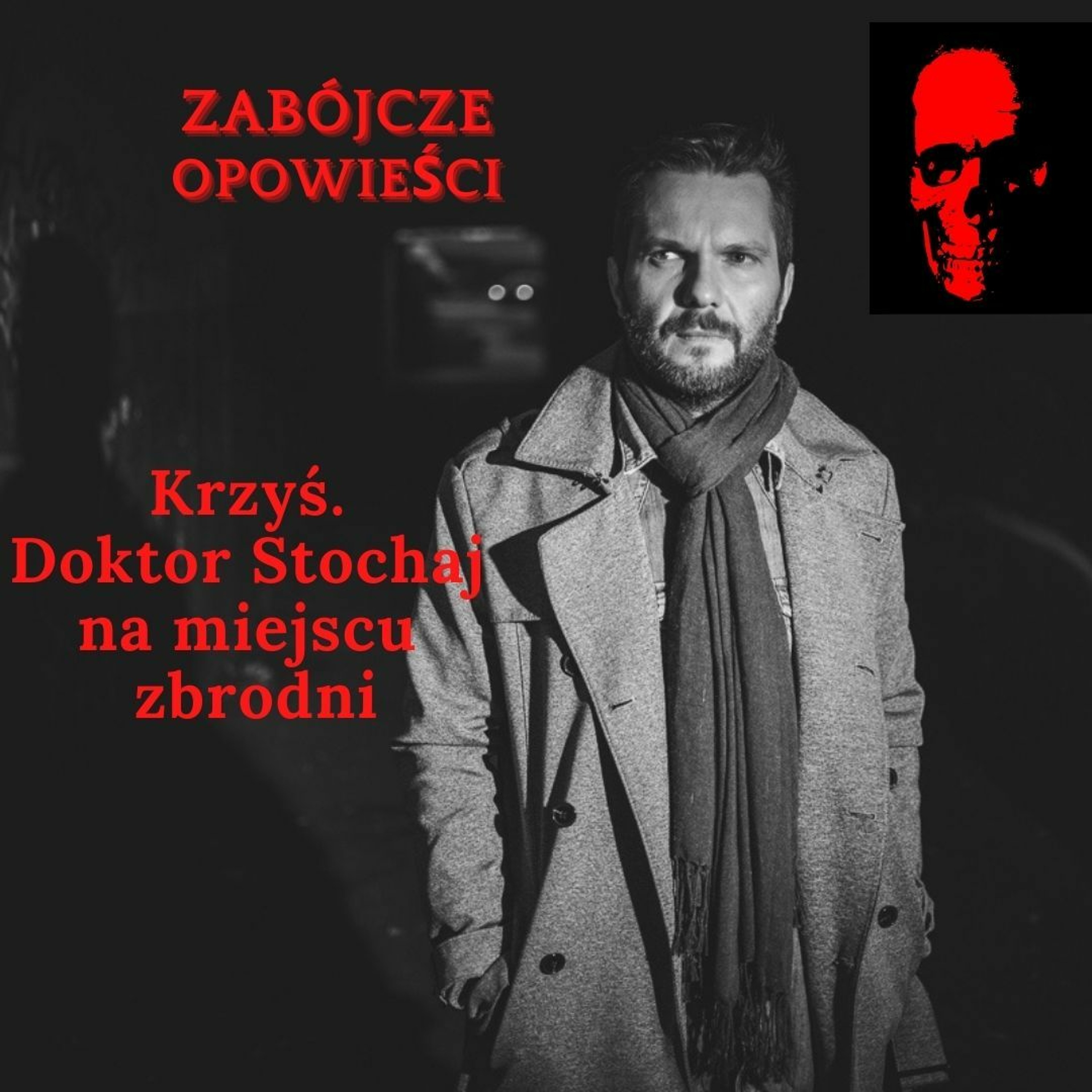 Krzyś. Dr Stochaj na miejscu zbrodni episode artwork